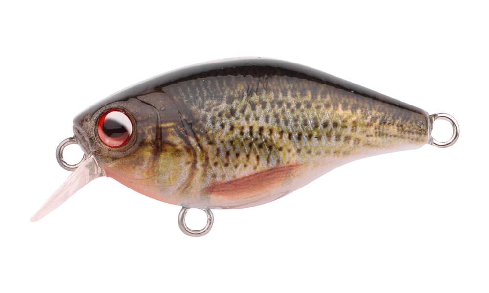 SPRO Ikiru Crank LL 3,8cm 4g - Roach