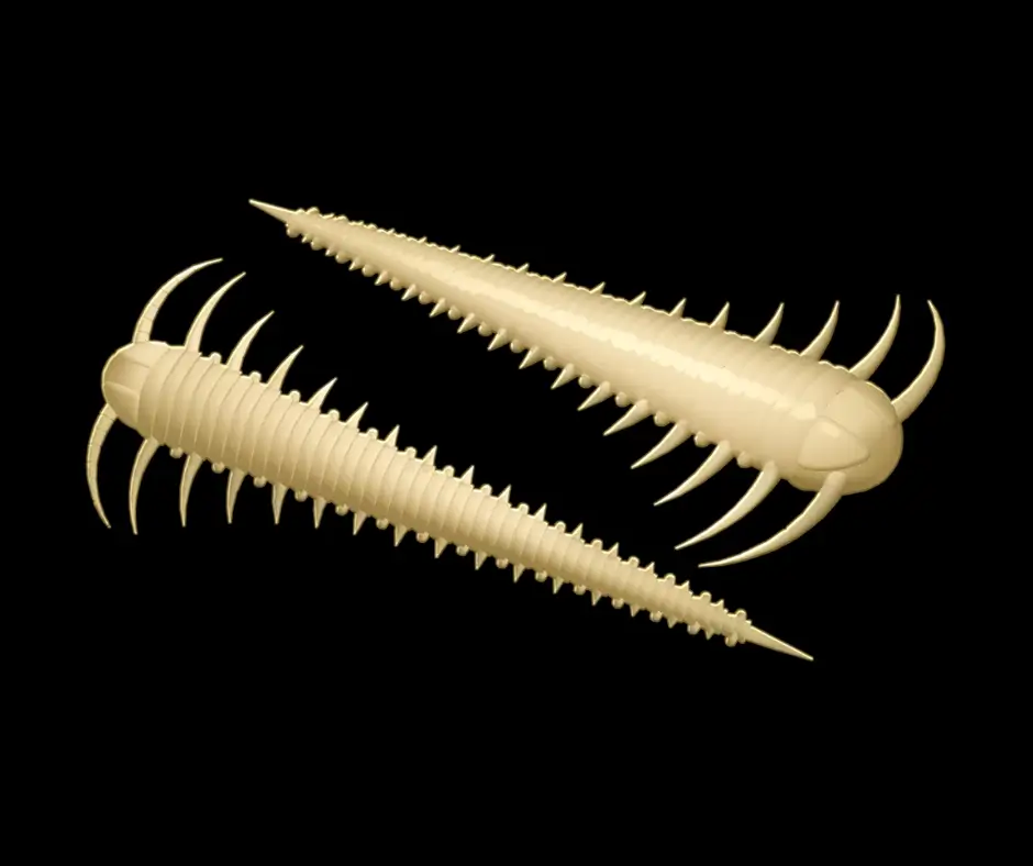 LIBRA LURES Slayzur 55 – Cheese 005 (Cheese) – 12ks/bal