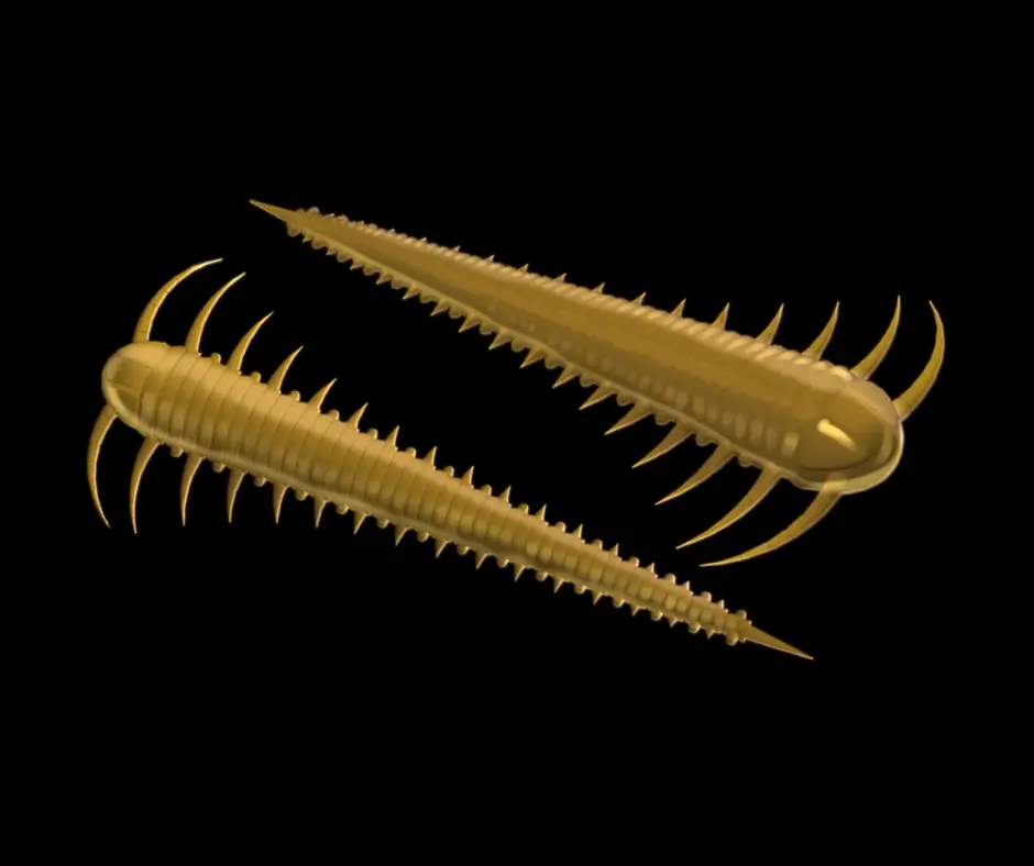 LIBRA LURES Slayzur 55 – Coffe Milk 036 (Cheese) – 12ks/bal