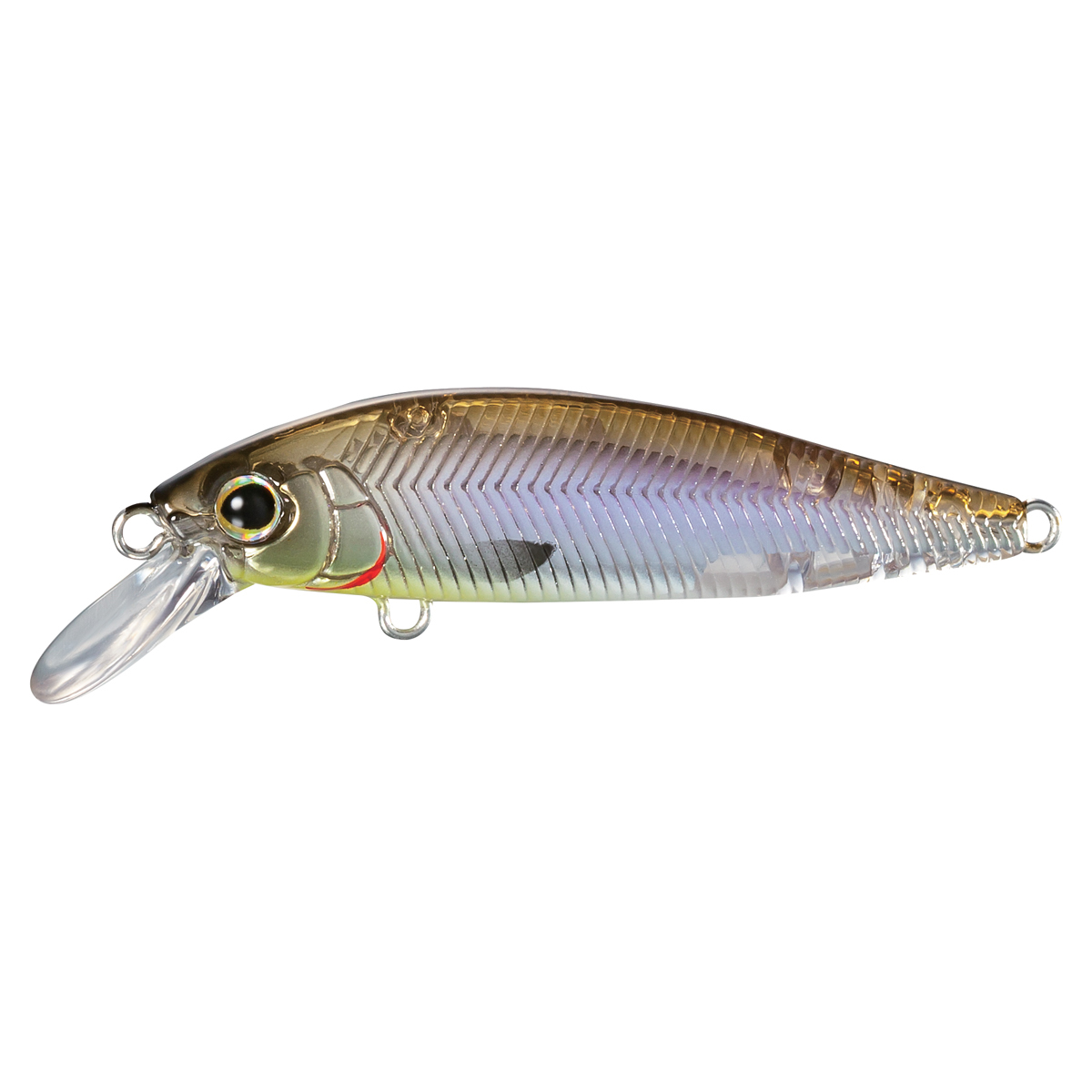 Shimano Wobler Lure Cardiff Stream Flat 50HS Wakasagi