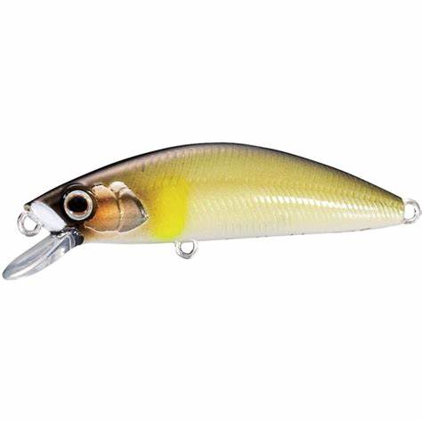 Shimano Wobler Lure Cardiff Folletta 50SS Pearl Ayu