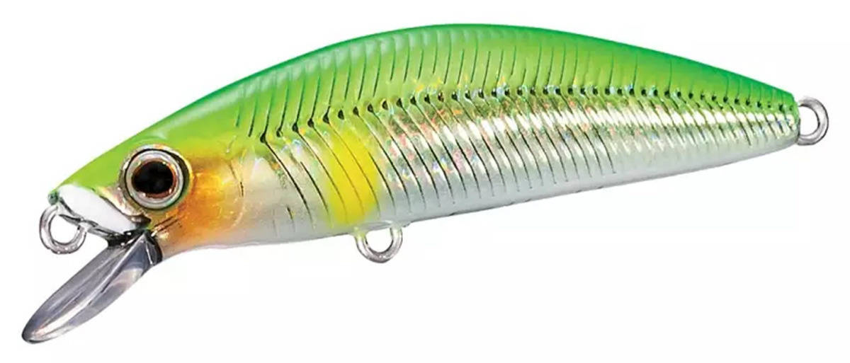 Shimano Wobler Lure Cardiff Folletta 50SS Lime Back