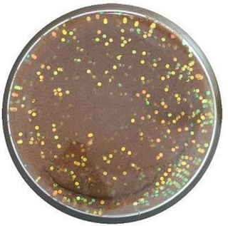 Berkley Těsto Na Pstruhy Natural Glitter Troutbait 50g - Rybí Pelety