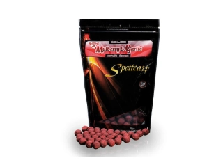 Sportcarp boilies Moruše Česnek 800g 20mm