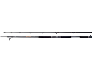 Shimano Prut Beastmaster AX Catfish Spinning Lure 2,2m 120g 2Díly