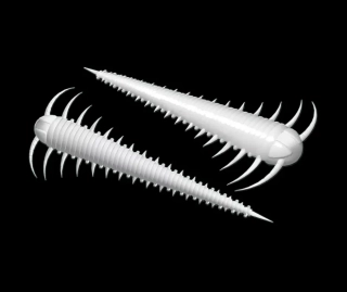 LIBRA LURES Slayzur 55 – White 001 (Cheese) – 12ks/bal