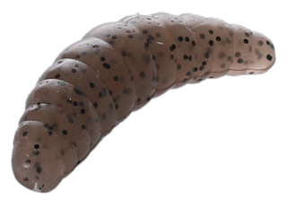 Mikado M-AREA MAGGOT (Sýr) 42mm 10ks - Pepřová