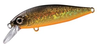 Shimano Wobler Lure Cardiff Stream Flat 50S Black Gold